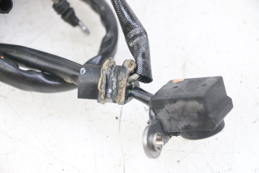 photo de STATOR HONDA CRF-F CRF F 110 (2019 - 2022) - Technische close-up