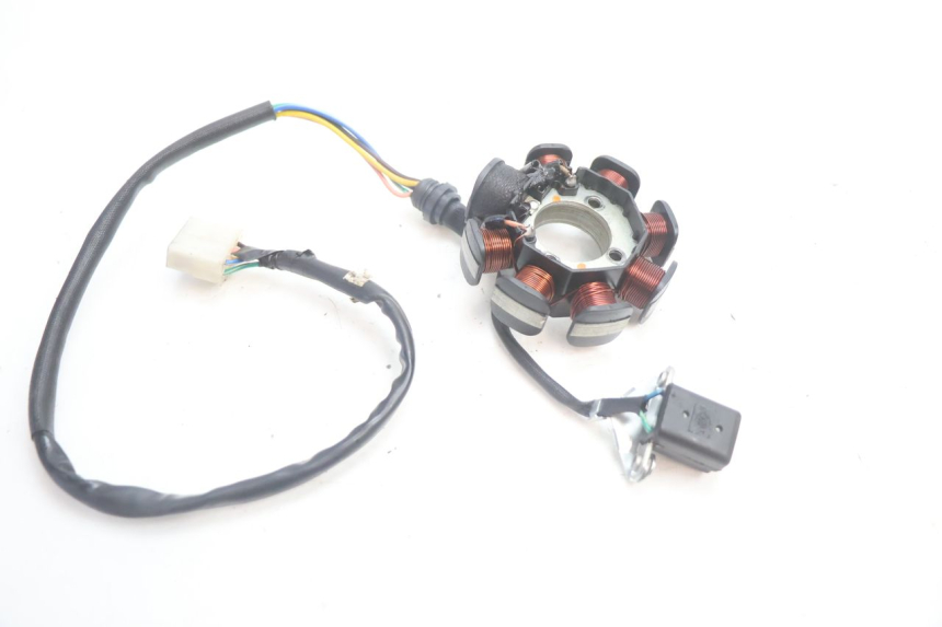photo de STATOR MASH DIRT TRACK 50 (2018 - 2020) - Technische close-up