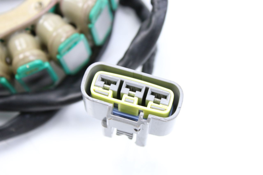 photo de STATOR BMW F GS K81 850 (2018 - 2023) - Zoom op gebruiksstaat