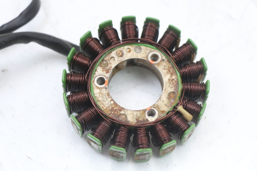 photo de STATOR REGAL RAPTOR RAXTER 2 125 (2007 - 2015) - Technische close-up