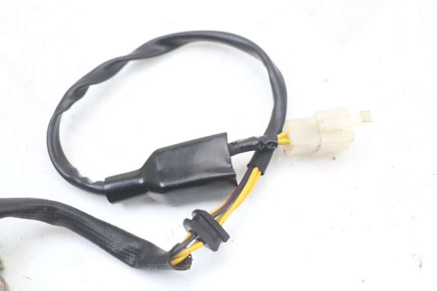 photo de STATOR REGAL RAPTOR RAXTER 2 125 (2007 - 2015) - Overzicht