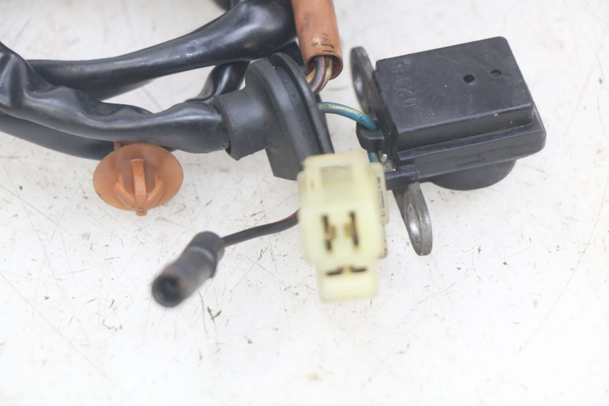 photo de STATOR PEUGEOT SPEEDFIGHT LC 50 (1996 - 2002) - Technische close-up