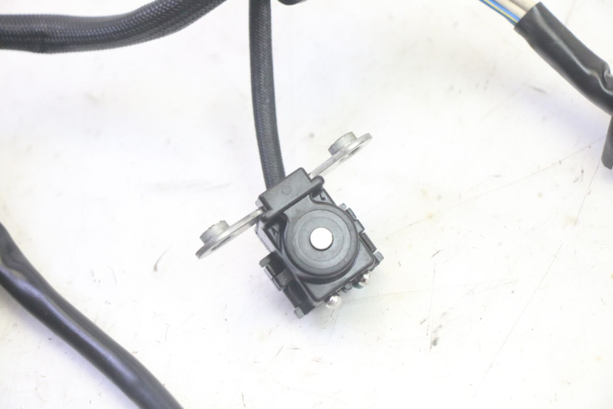 photo de STATOR YAMAHA TDM ABS 900 (2002 - 2014) - Technische close-up