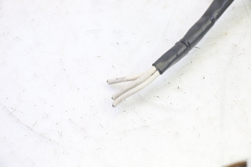 photo de STATOR YAMAHA TDM ABS 900 (2002 - 2014) - Overzicht