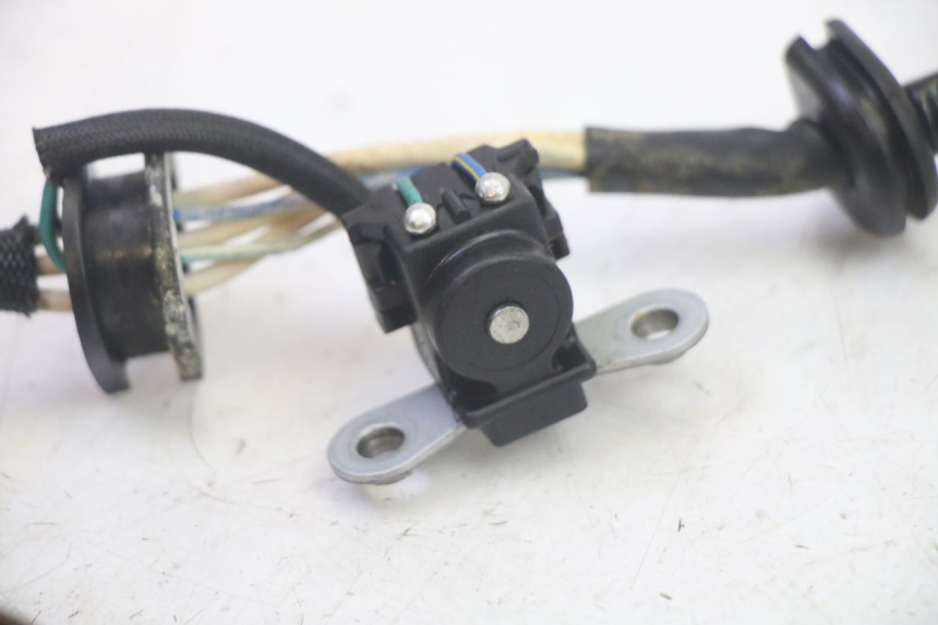 photo de STATOR YAMAHA TDM ABS 900 (2002 - 2014) - Andere kijkhoek