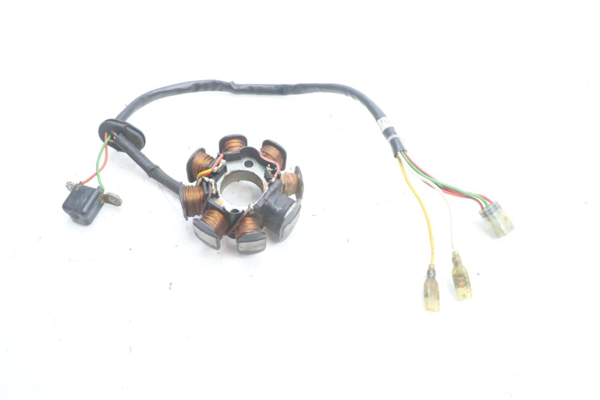 photo de STATOR HUSABERG TE 250 (2011 - 2014) - Technische close-up