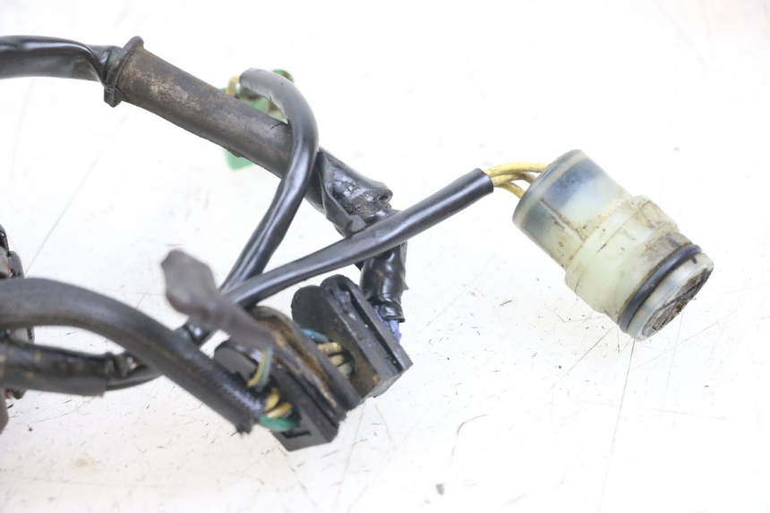 photo de STATOR HONDA TRX 300 (1988 - 2000) - Detail van het onderdeel