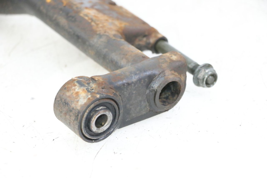 photo de MOTORENSTEUN PEUGEOT TWEET 4T 50 (2014 - 2019) - Overzicht