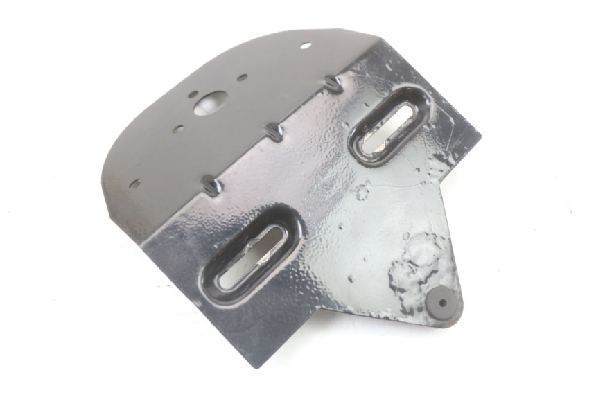 photo de PLAATHOUDER REGAL RAPTOR RAXTER 2 125 (2007 - 2015) - Andere kijkhoek