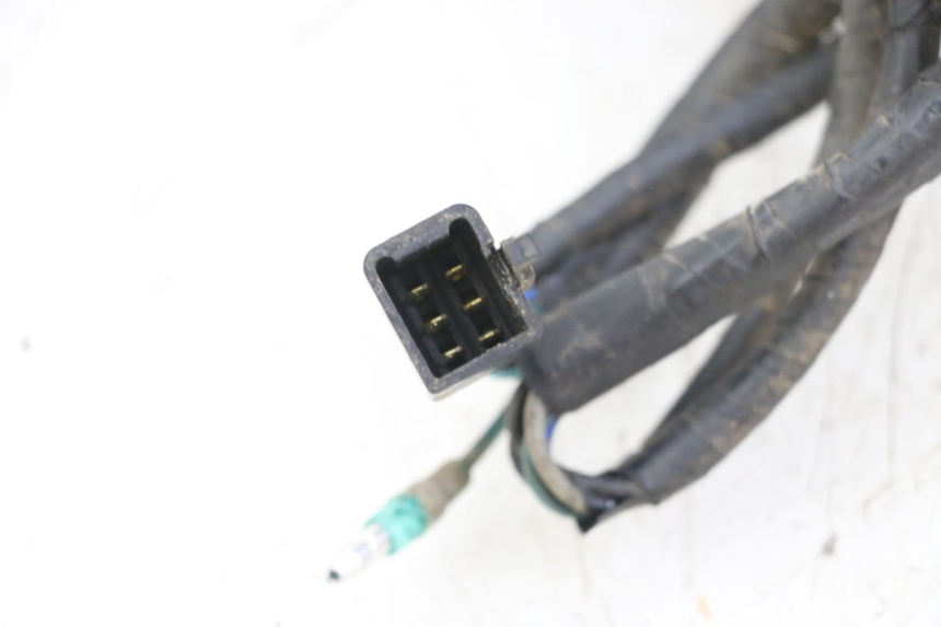 photo de TELLERPLAAT MASAI XL 50 (2012 - 2019) - Technische close-up