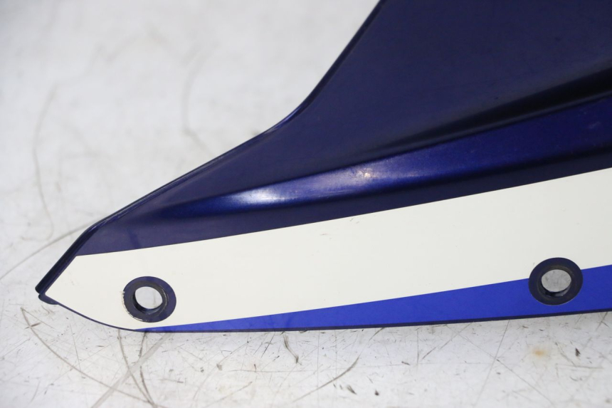 photo de VORKKOP SUZUKI GSXR GSX-R 1000 (2003 - 2004) - Zoom op kwaliteit