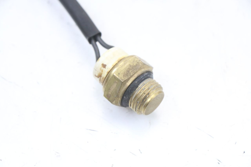 photo de THERMOCONTACT REGAL RAPTOR RAXTER 2 125 (2007 - 2015) - Detail van het onderdeel
