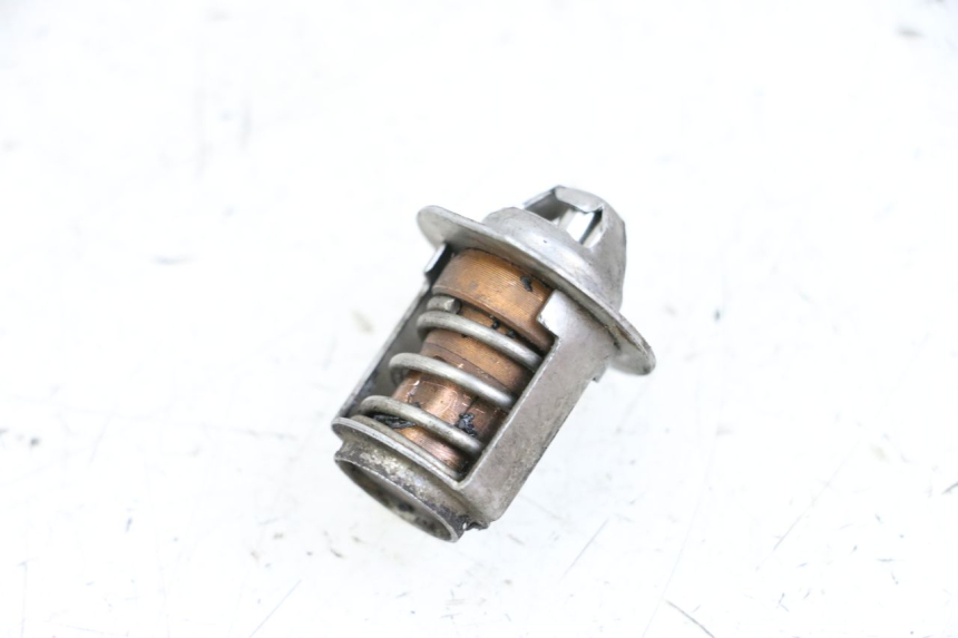 photo de THERMOSTAAT NECO GPX LC 2T 50 (2014 - 2018) - Hoofdaanzicht