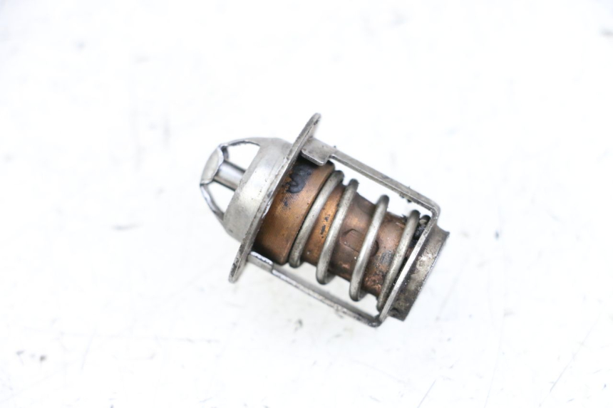 photo de THERMOSTAAT NECO GPX LC 2T 50 (2014 - 2018) - Zoom op gebruiksstaat