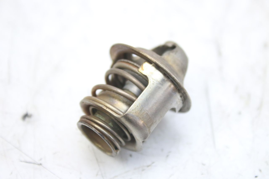 photo de THERMOSTAAT PIAGGIO MP3 RL 250 (2006 - 2010) - Hoofdaanzicht