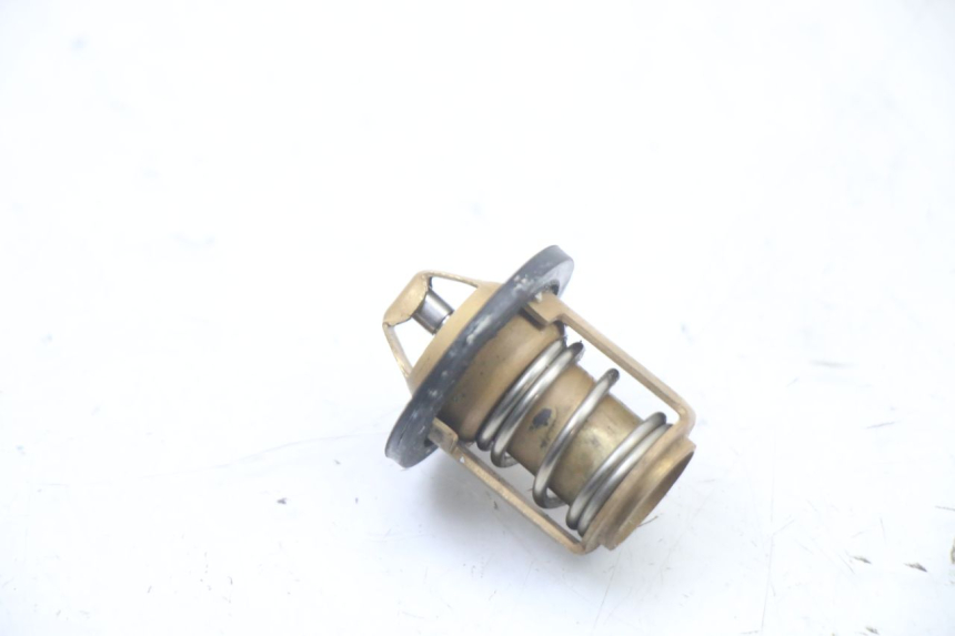 photo de THERMOSTAAT PEUGEOT SPEEDFIGHT 3 LC 2T 50 (2009 - 2015) - Hoofdaanzicht