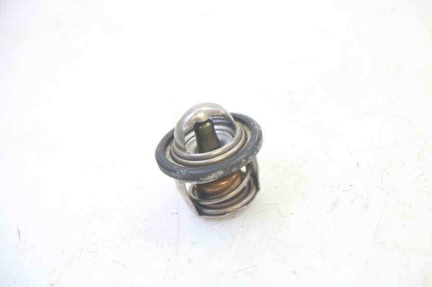 photo de THERMOSTAAT YAMAHA X-MAX XMAX 125 (2010 - 2013) - Hoofdaanzicht