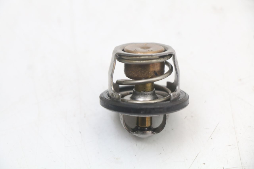 photo de THERMOSTAAT YAMAHA YP MAJESTY 125 (2002 - 2006) - Zoom op gebruiksstaat
