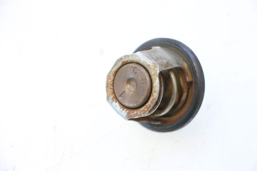 photo de THERMOSTAAT YAMAHA YP MAJESTY 125 (2007 - 2010) - Detail van het onderdeel