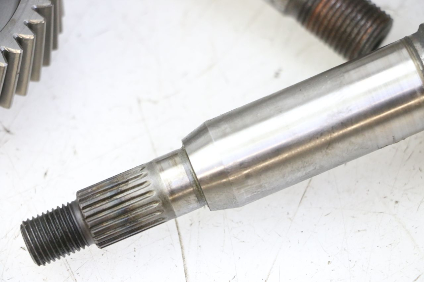 photo de WIELAANDRIJVING SUZUKI BURGMAN 125 (2007 - 2014) - Kenmerkende details