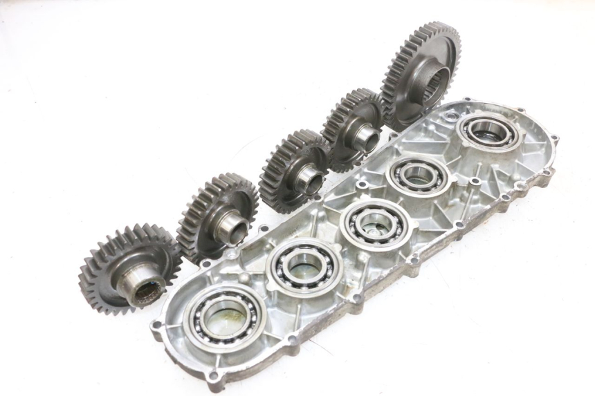 photo de WIELAANDRIJVING SUZUKI BURGMAN 650 (2013 - 2020) - Zoom op kwaliteit