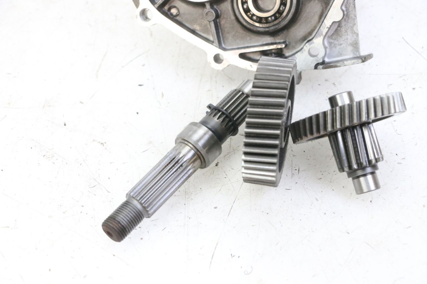 photo de WIELAANDRIJVING DAELIM BESBI 125 (2007 - 2008) - Kenmerkende details