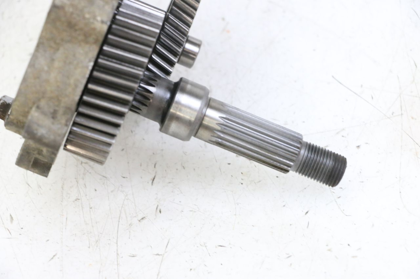 photo de WIELAANDRIJVING DAELIM BESBI 125 (2007 - 2008) - Overzicht