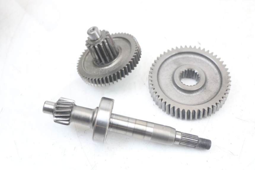 photo de WIELAANDRIJVING LONGJIA DIGITA 4T 50 (2019 - 2022) - Overzicht