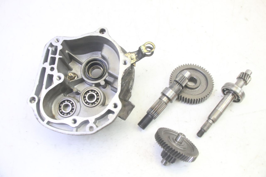 photo de WIELAANDRIJVING LONGJIA DIGITA 4T 50 (2019 - 2022) - Hoofdaanzicht