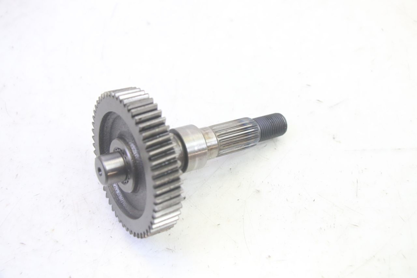 photo de WIELAANDRIJVING LONGJIA DIGITA 4T 50 (2019 - 2022) - Markeringen en referenties