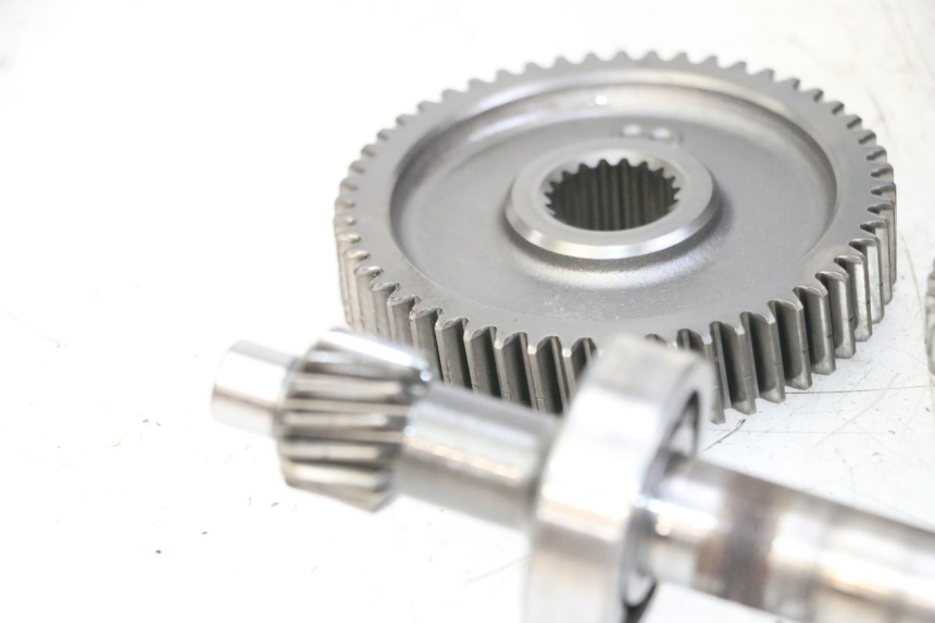 photo de WIELAANDRIJVING JM MOTORS EVOLIS 4T 50 (2018 - 2022) - Markeringen en referenties