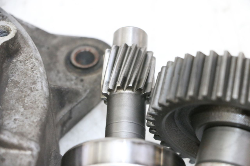 photo de WIELAANDRIJVING DAELIM HISTORY 125 (2001 - 2002) - Visuele inspectie