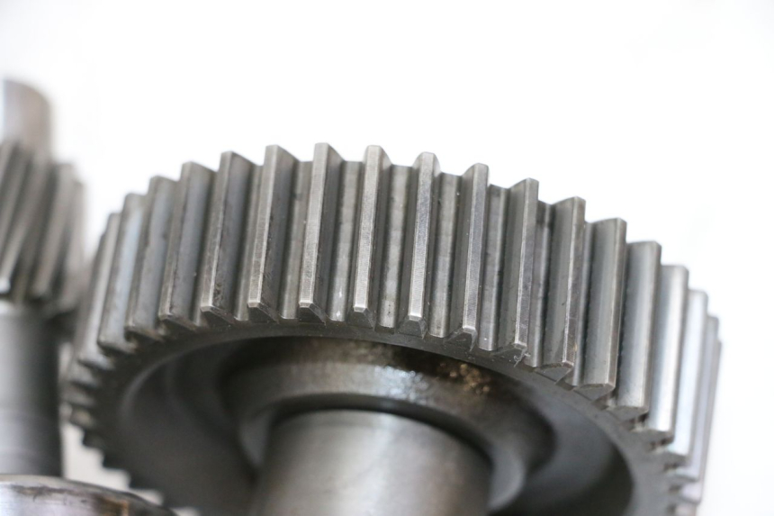 photo de WIELAANDRIJVING DAELIM HISTORY 125 (2001 - 2002) - Focus op structuur