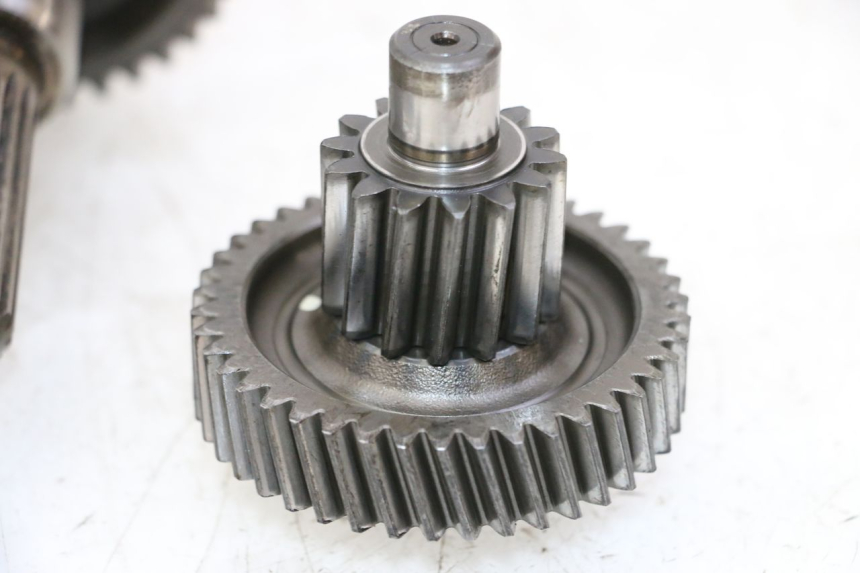 photo de WIELAANDRIJVING DAELIM HISTORY 125 (2001 - 2002) - Alternatieve hoek