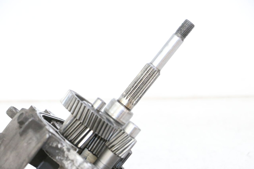 photo de WIELAANDRIJVING DAELIM HISTORY 125 (2001 - 2002) - Overzicht