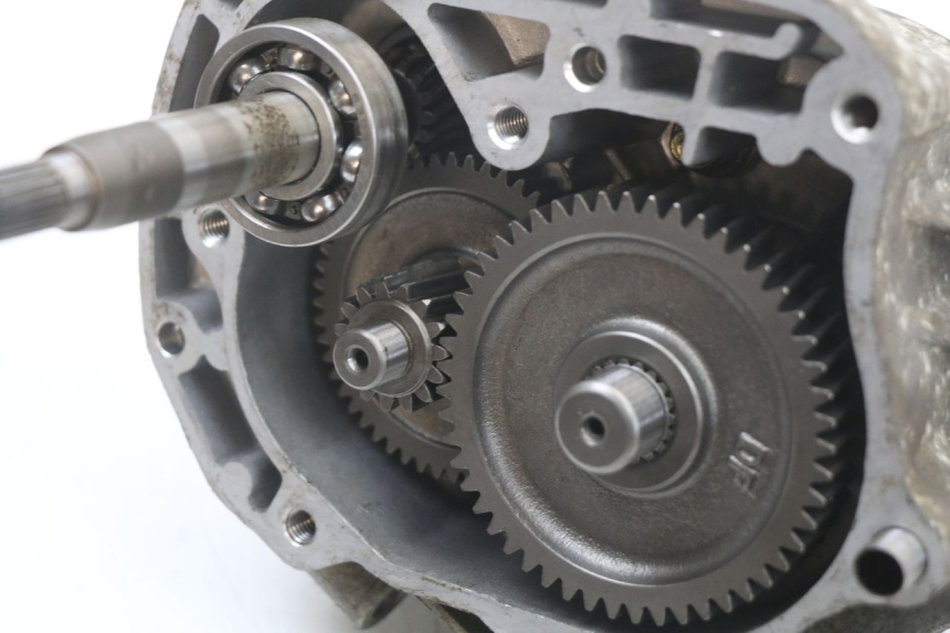 photo de WIELAANDRIJVING ORCAL KITE 4T 50 (2019 - 2023) - Markeringen en referenties