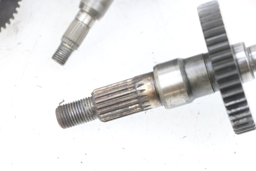 photo de WIELAANDRIJVING PEUGEOT LUDIX 50 (2008 - 2017) - Staat van het oppervlak