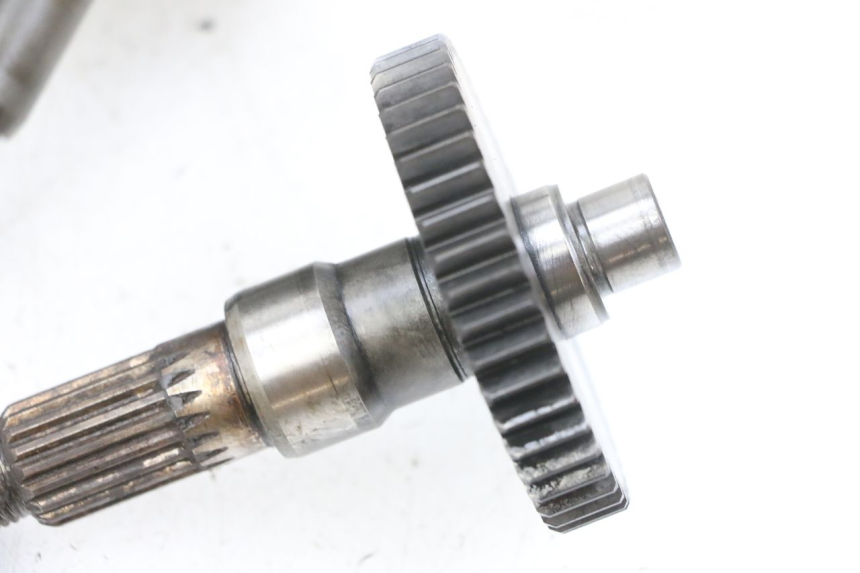 photo de WIELAANDRIJVING PEUGEOT LUDIX 50 (2008 - 2017) - Gecontroleerd onderdeel