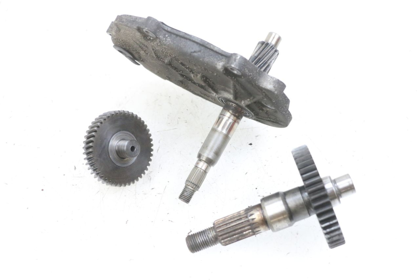 photo de WIELAANDRIJVING PEUGEOT LUDIX 50 (2008 - 2017) - Markeringen en referenties