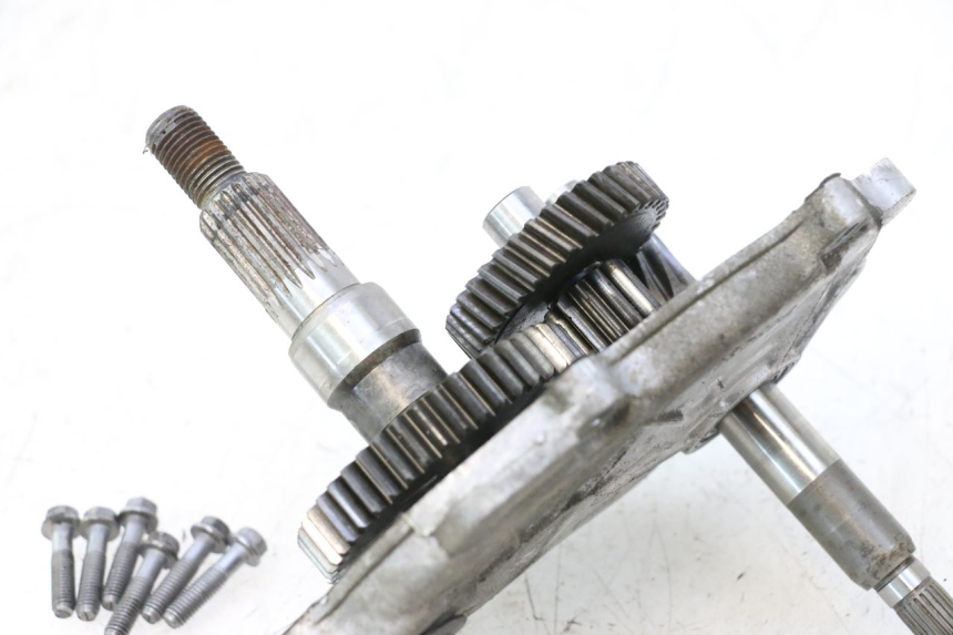photo de WIELAANDRIJVING PEUGEOT LUDIX ONE 50 (2004 - 2013) - Technische close-up