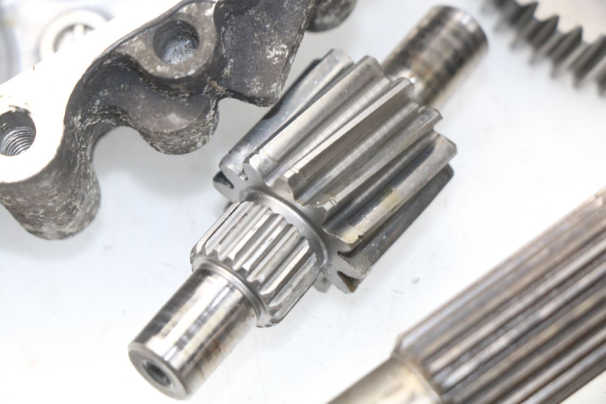 photo de WIELAANDRIJVING HONDA NSS EX FORZA 250 (2005 - 2013) - Kenmerkende details