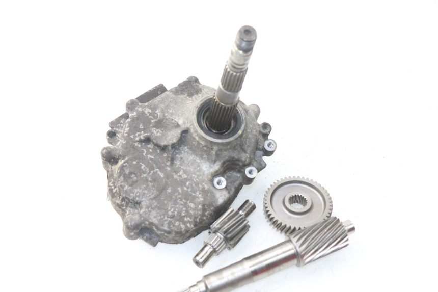 photo de WIELAANDRIJVING HONDA NSS EX FORZA 250 (2005 - 2013) - Overzicht