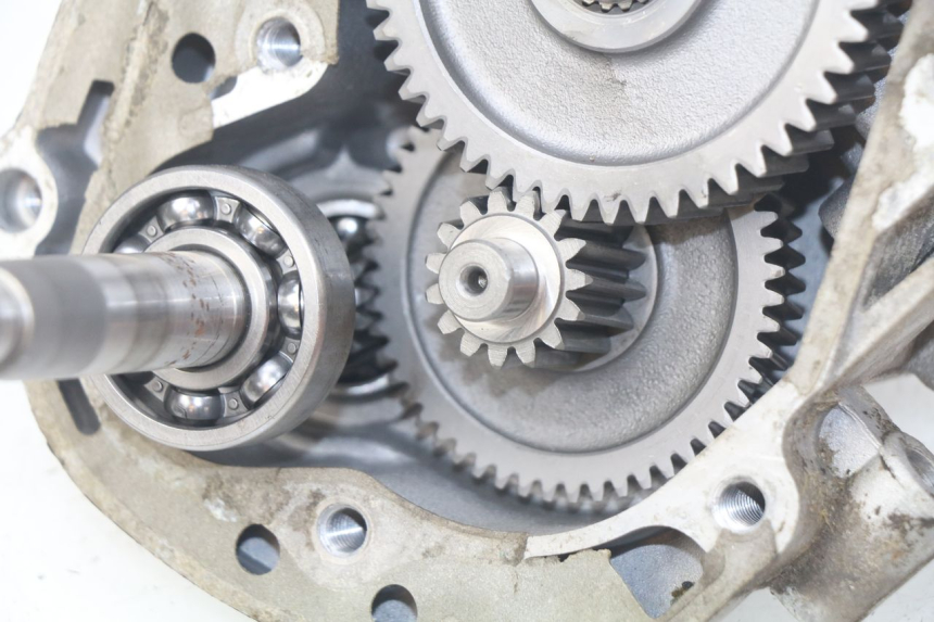 photo de WIELAANDRIJVING JM MOTORS OLDIES 4T 50 (2010 - 2020) - Overzicht