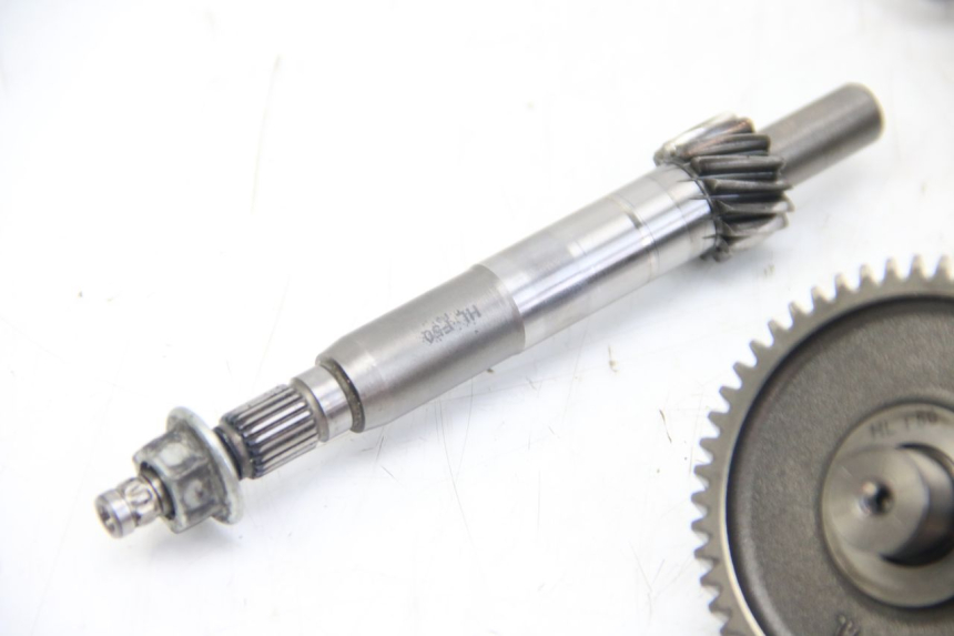 photo de WIELAANDRIJVING APRILIA SCARABEO 4T 50 (2009 - 2017) - Kenmerkende details