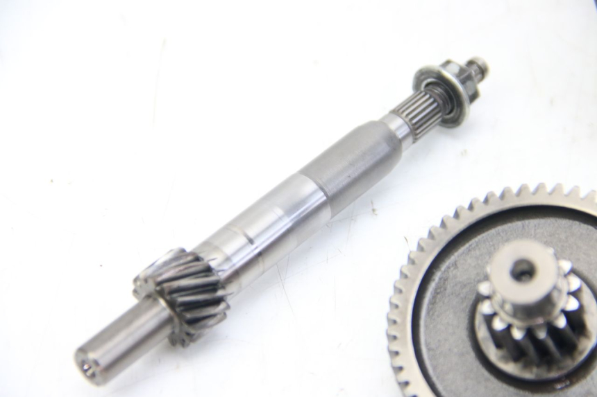 photo de WIELAANDRIJVING APRILIA SCARABEO 4T 50 (2009 - 2017) - Overzicht