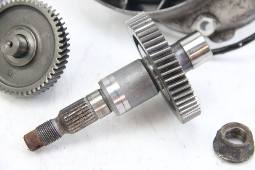 photo de WIELAANDRIJVING APRILIA SCARABEO 4T 50 (2009 - 2017) - Markeringen en referenties