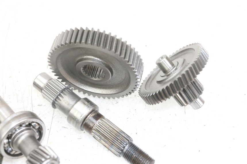 photo de WIELAANDRIJVING TNT MOTOR ROMA 10' 4T 50 (2019 - 2022) - Overzicht