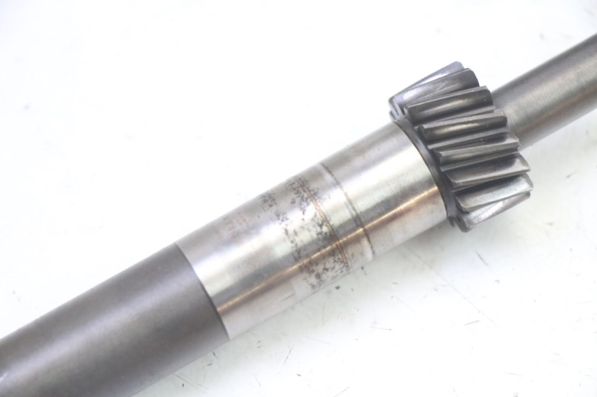 photo de WIELAANDRIJVING PIAGGIO X9 EVOLUTION 125 (2003 - 2007) - Markeringen en referenties