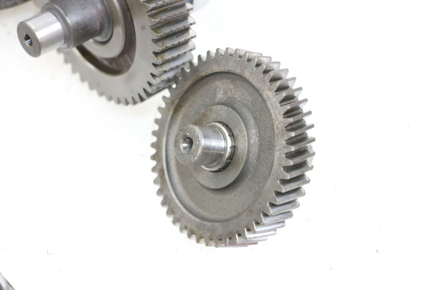 photo de WIELAANDRIJVING PIAGGIO X9 125 (2000 - 2003) - Markeringen en referenties