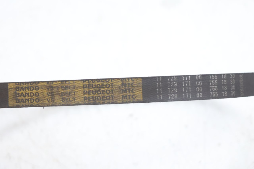 photo de VARIATOR PEUGEOT KISBEE 2T 50 (2010 - 2017) - Zoom op componenten